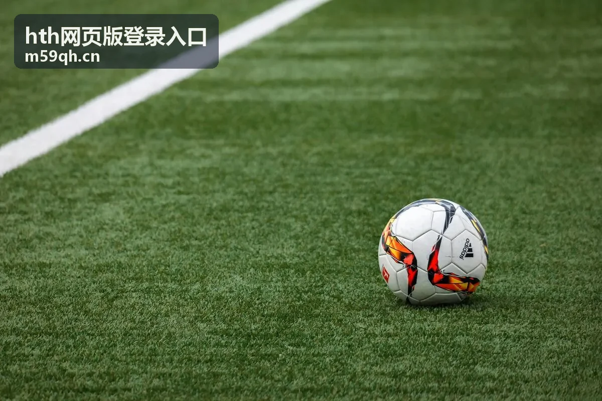 hth网页版登录入口在不同浏览器与设备上的打开效果示意